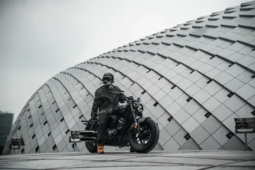Шиншилла 500 Р / Chinchilla 500 R
