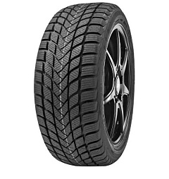 DELINTE Winter WD6 155/65 R13